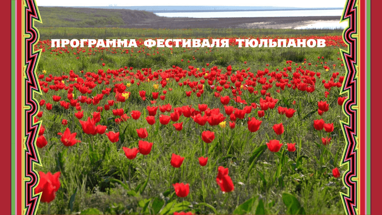 Превью изображение новостей